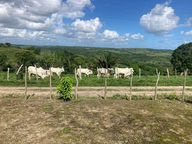 Imagem: Sítio Branquinha / União