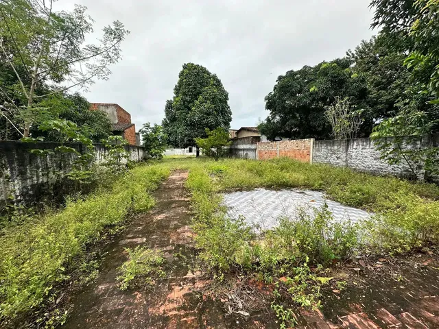 Imagem 1: Chácara para Venda Próximo À Praia do Francês Tem 1430M2 com 2 Quartos- Marechal