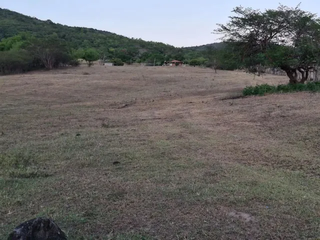 Imagem: Sítio para Venda em Palmeira dos Índios