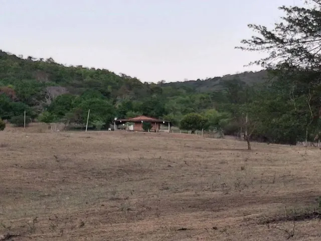 Imagem 6: Sítio para Venda em Palmeira dos Índios, Palmeira de Fora, 3 Dormitórios, 1 Suíte, 1