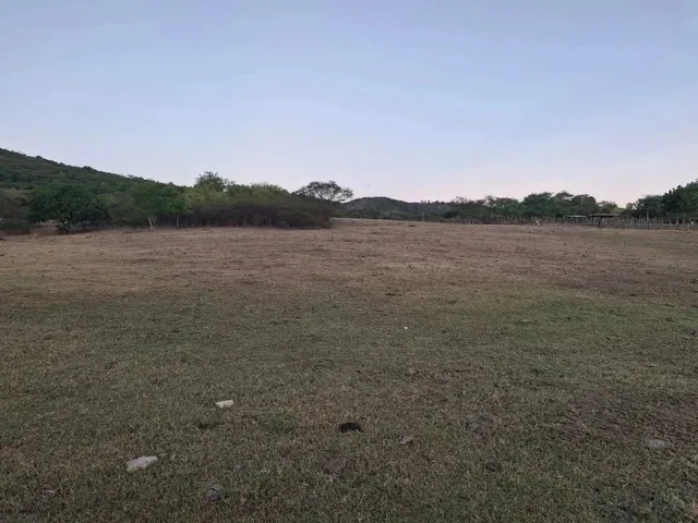 Imagem 3: Sítio para Venda em Palmeira dos Índios, Palmeira de Fora, 3 Dormitórios, 1 Suíte, 1