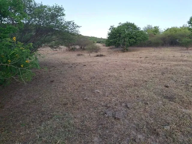 Imagem 12: Sítio para Venda em Palmeira dos Índios, Palmeira de Fora, 3 Dormitórios, 1 Suíte, 1