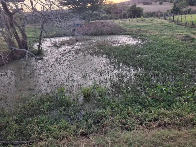 Imagem 15: Sítio para Venda em Palmeira dos Índios, Palmeira de Fora, 3 Dormitórios, 1 Suíte, 1