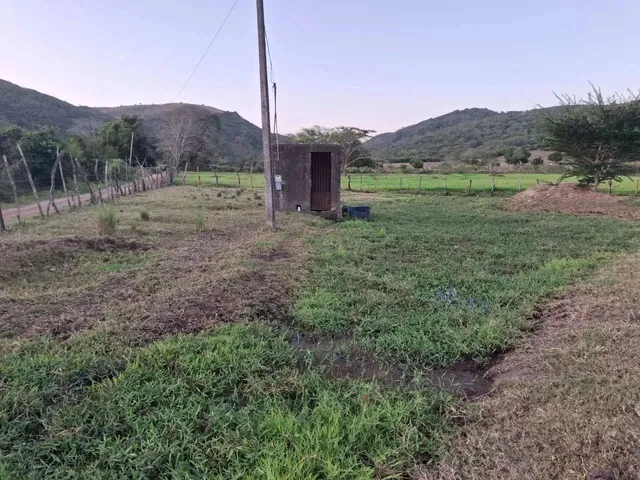 Imagem 13: Sítio para Venda em Palmeira dos Índios, Palmeira de Fora, 3 Dormitórios, 1 Suíte, 1