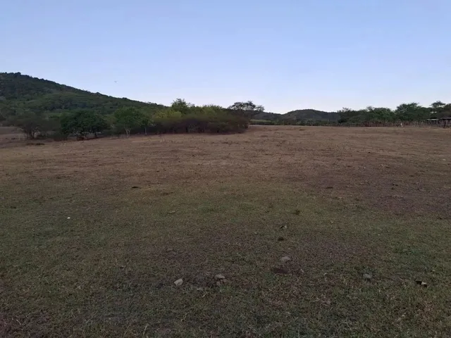 Imagem 5: Sítio para Venda em Palmeira dos Índios, Palmeira de Fora, 3 Dormitórios, 1 Suíte, 1