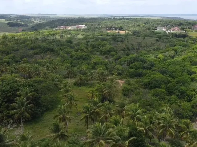 Imagem: Venda