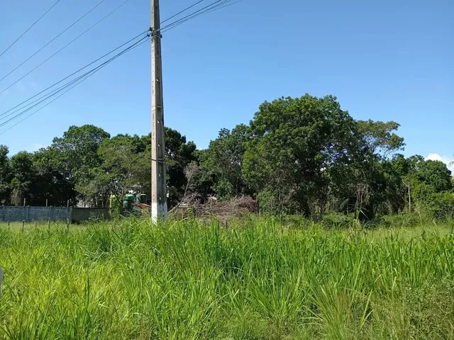 Imagem 1: Imóvel para Venda Possui 6000 Metros Quadrados em Barra Nova - Marechal Deodoro - Al