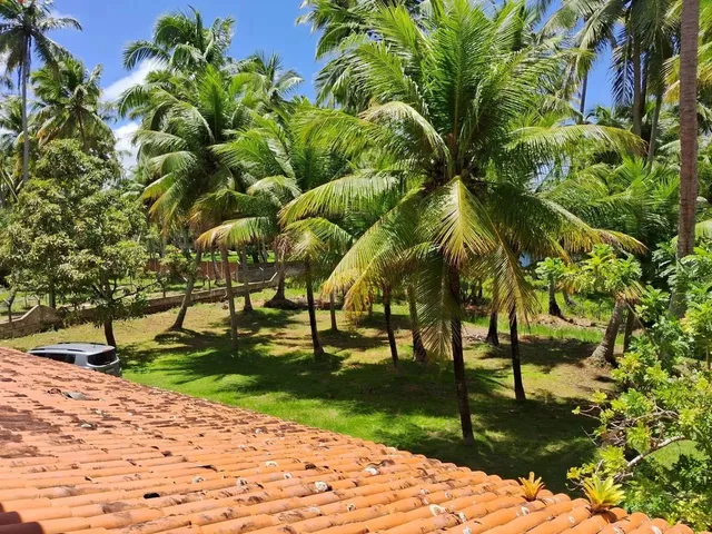 Imagem 15: Imóvel para Venda Tem 10000 Metros Quadrados com 4 Quartos em Massagueira - Marechal