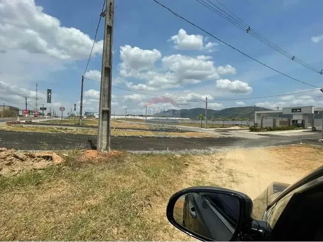Imagem 11: Terreno Reserva Palmares