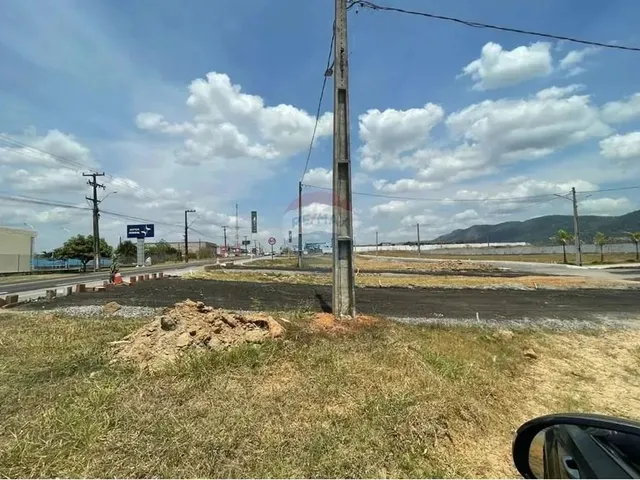 Imagem 7: Terreno Reserva Palmares