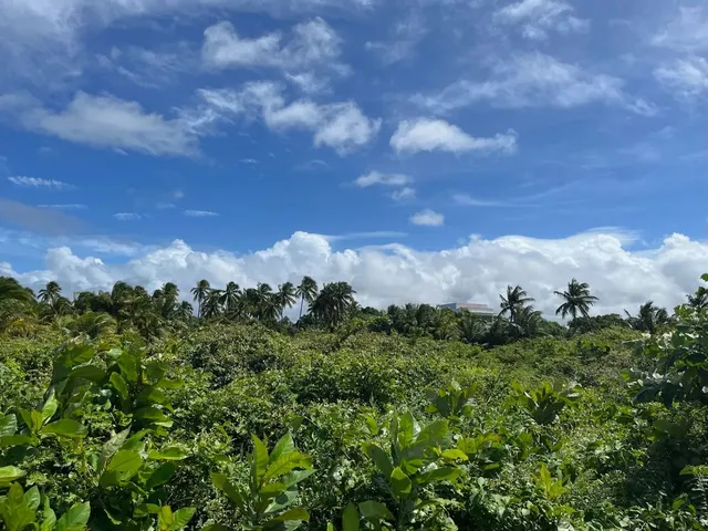 Imagem: Terreno À Venda na Barra de Sto Antônio