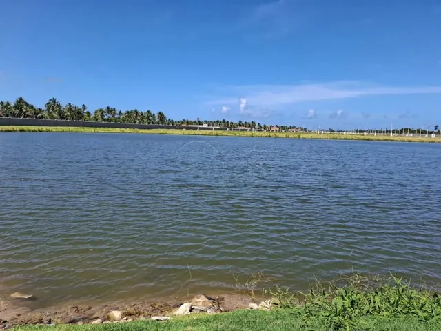 Imagem 3: Terreno 273,35M² - Marechal Deodoro - Cond. Angatu
