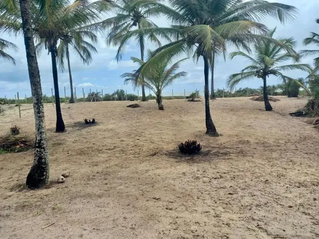 Imagem: Pé na Areia Mogi