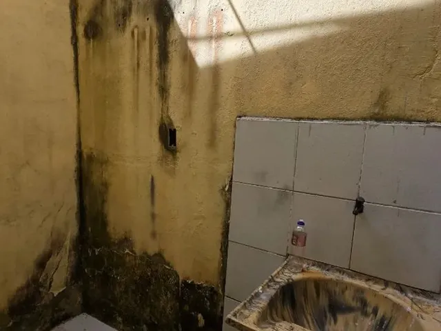 Imagem 6: Passagem Dalva, Térreo Kit Net, Marambaia 1 Quarto, R$ 700,00