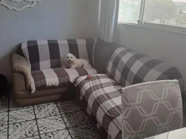 Imagem: Oportunidade de Apartamento na 1° Etapa
