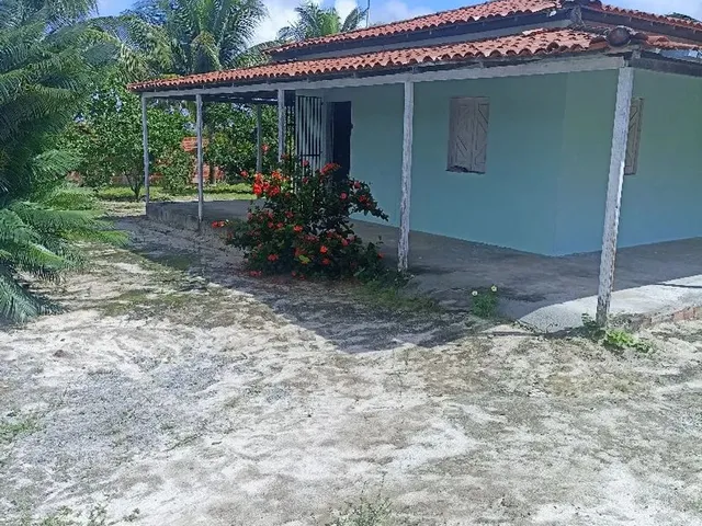 Imagem: Mini Sítio em Coité
