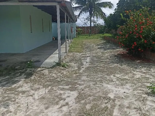 Imagem 2: Mini Sítio em Coité
