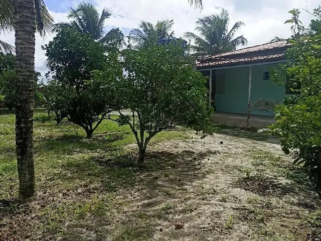 Imagem 4: Mini Sítio em Coité