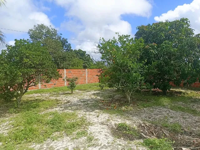 Imagem 5: Mini Sítio em Coité
