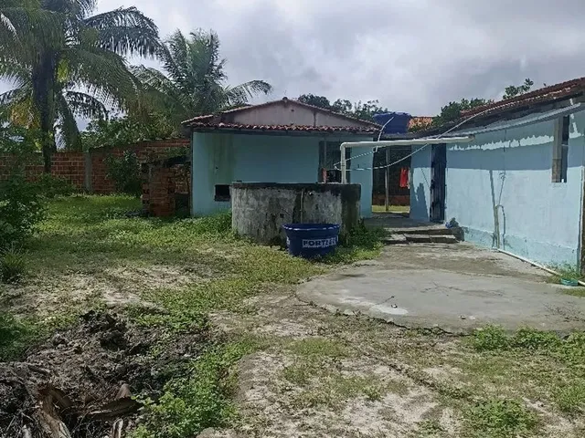 Imagem 6: Mini Sítio em Coité
