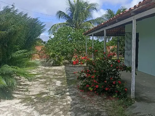 Imagem 15: Mini Sítio em Coité