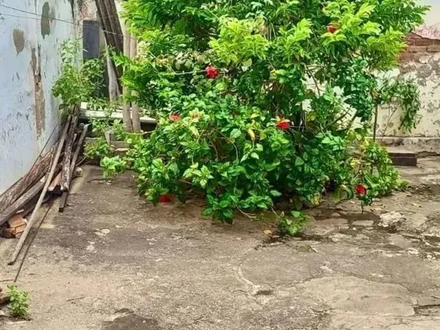 Imagem 7: Casa Residencial para Venda em Rua Pública, Centro, Itaberaba, 3 Quartos, 1 Sala, 2
