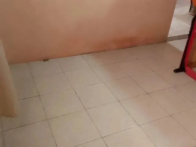 Imagem 11: Casa a Venda Casa com 2 dormitórios