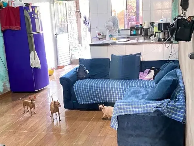 Imagem: Ala Vendo Casa no Maiobão
