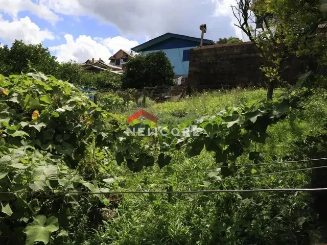 Imagem 2: Casa em Vera Cruz - Piratini - Gramado/Rs