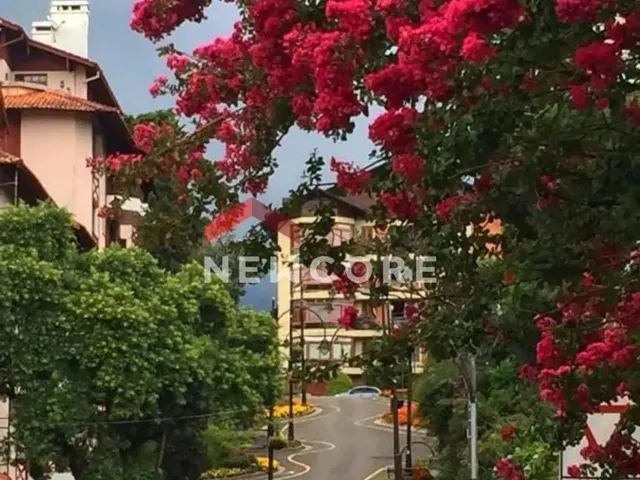 Imagem 5: Casa em Vera Cruz - Piratini - Gramado/Rs