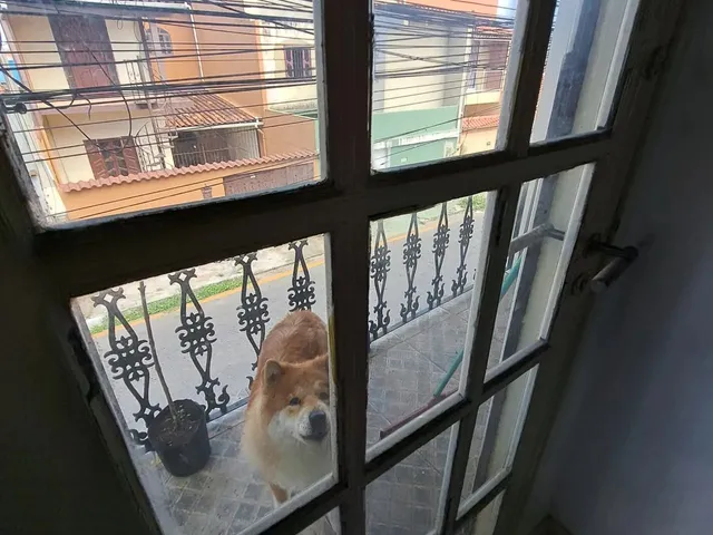 Imagem 3: Vendo Triplex. Churrasqueira, Ar-condicionado, Área de...