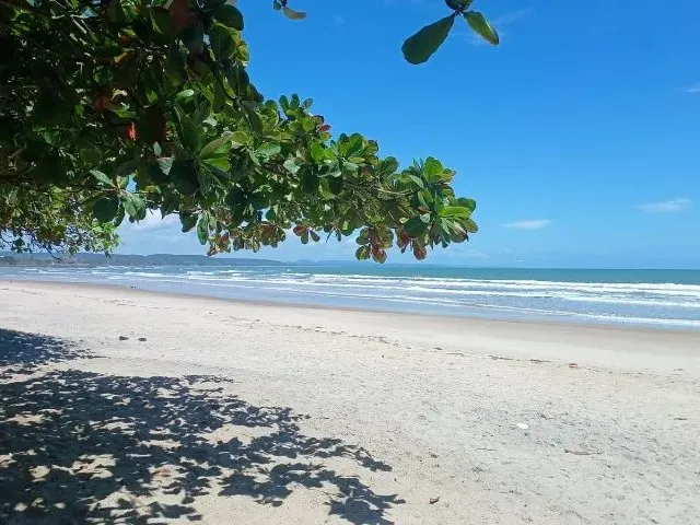 Imagem 2: Lindos Apartamentos (Novinhos) de 1 Quarto Frente pro Mar! (5 Min do Centro!