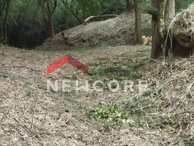 Imagem: Lote em Condomínio em Rua Armando Dubois