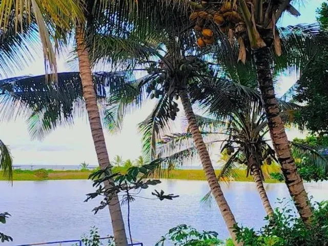 Imagem: Guaratiba o Refúgio Perfeito para Sua