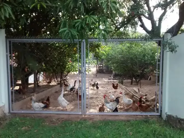 Imagem: Chácara Recanto dos Sonhos