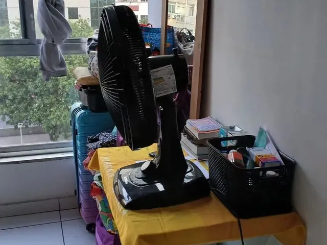 Imagem 4: Alugamos Quarto Temporada