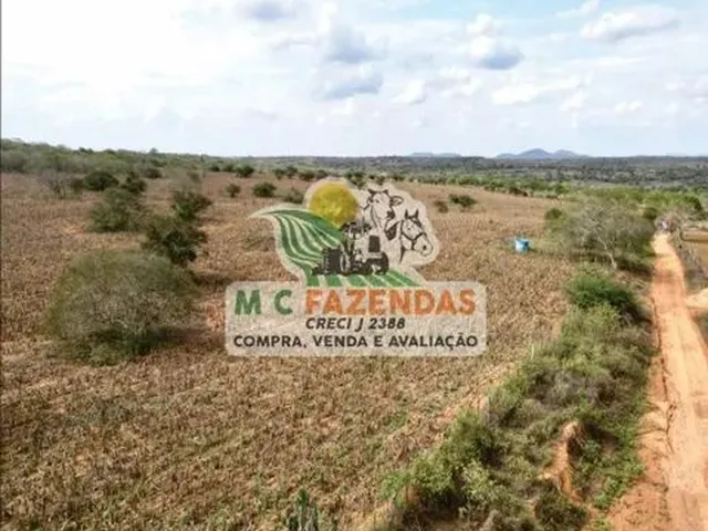 Imagem: Fazenda À Venda em Jeremoabo Potencial