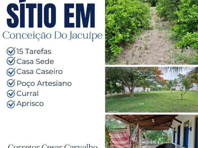 Imagem: Sítio em Conceição do Jacuípe - 15 Tarefas