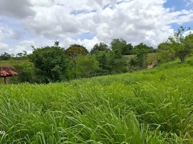 Imagem 8: Sítio em Conceição do Jacuípe - 15 Tarefas