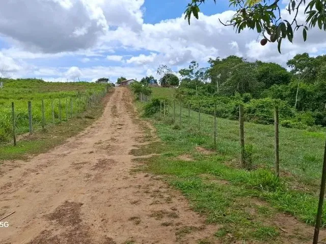 Imagem 5: Sítio em Conceição do Jacuípe - 15 Tarefas