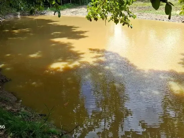 Imagem 6: Sítio em Conceição do Jacuípe - 15 Tarefas