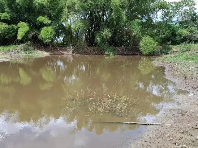 Imagem 4: Sítio em Conceição do Jacuípe - 15 Tarefas