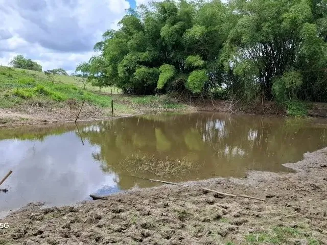 Imagem 2: Sítio em Conceição do Jacuípe - 15 Tarefas