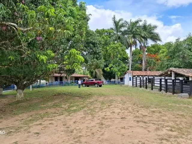 Imagem 12: Sítio em Conceição do Jacuípe - 15 Tarefas