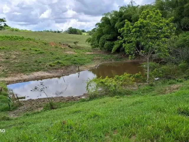 Imagem 9: Sítio em Conceição do Jacuípe - 15 Tarefas