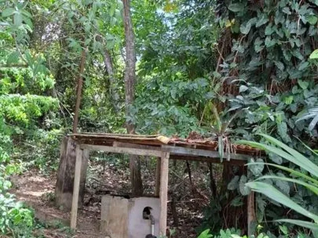Imagem 14: Sítio em Conceição do Jacuípe - 15 Tarefas
