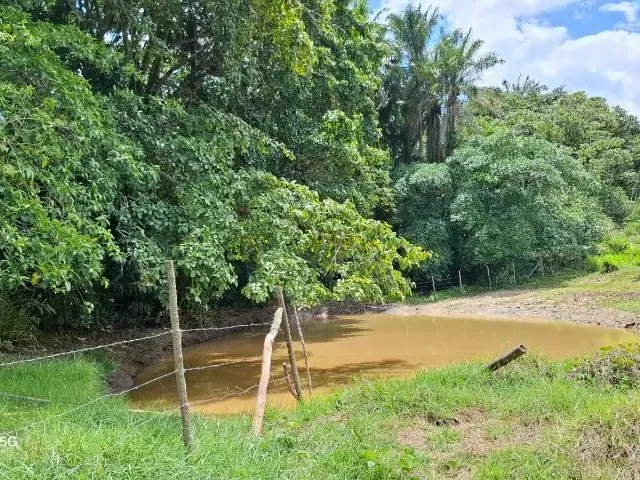 Imagem 16: Sítio em Conceição do Jacuípe - 15 Tarefas