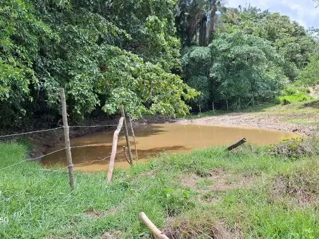 Imagem 13: Sítio em Conceição do Jacuípe - 15 Tarefas