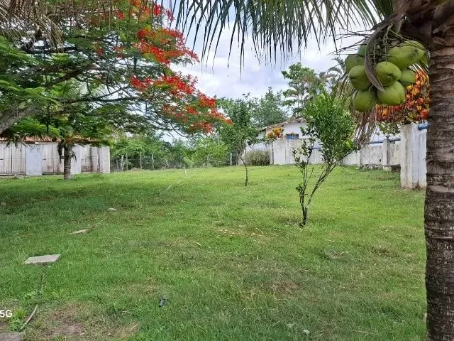 Imagem 3: Sítio em Conceição do Jacuípe - 15 Tarefas