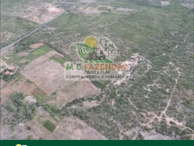 Imagem: Fazenda À Venda em Paulo Afonso - Ba